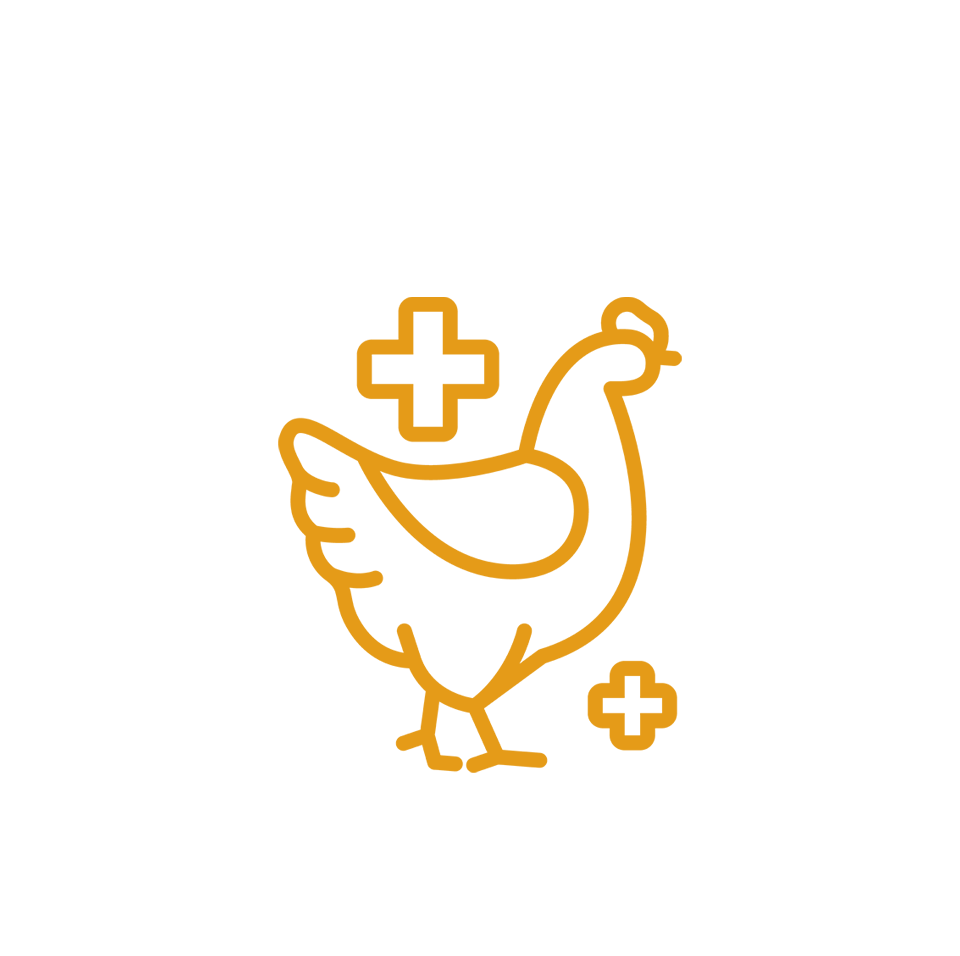 Chicken Supplies Australia