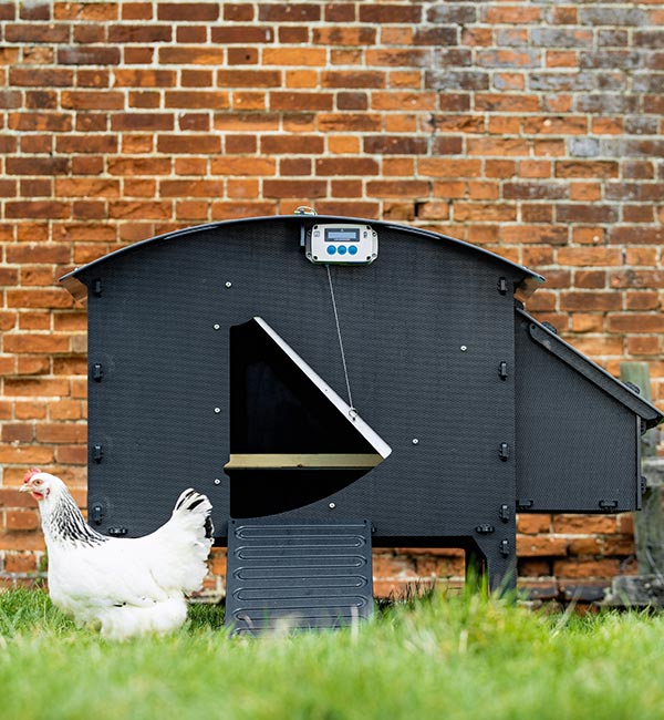 ChickenGuard Automated Door Opener