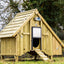 ChickenGuard Automated Door Opener