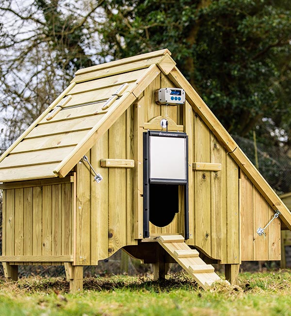 ChickenGuard Automated Door Opener