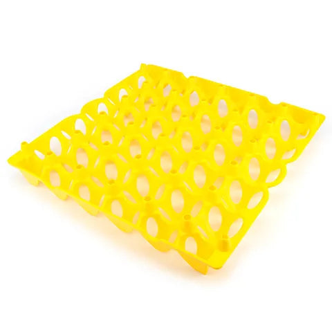 Plastic Poultry Egg Tray (Yellow)