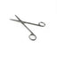 Stainless Steel Scissors