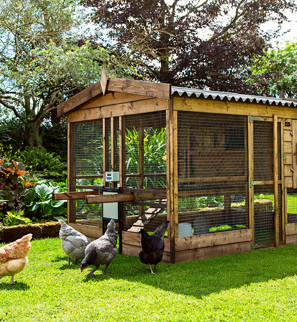 ChickenGuard Self Locking Door Only